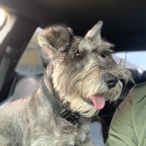 Meet your Posher, Terrence